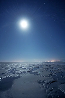 Tidal Pool Photography Drucke: Low tide at night