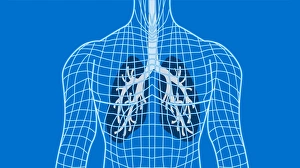Respiratory System Diagram Drucke: Lungs