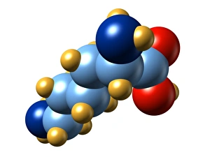 Amino Acid Structure Drucke: Lysine, molecular model