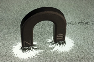 Magnetized Iron Filings Drucke: Magnet and magnetic field pattern