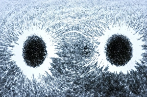 Bilder Datiert 29. Januar 2013: Magnetfeldmuster