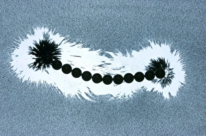 Drucke von Magnet und magnetisches Feldmuster. Klumpung von Eisenkörnern im Vorhandensein eines zwölf-kopfigen Ballmagneten und ihrer magnetischen Felder Bilder Datiert 2013 Januar: Magnetfeld und Magnetmuster
