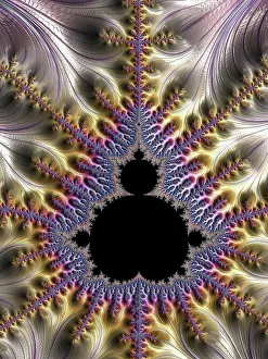 Mandelbrot-Fraktal F008/4429