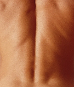 Male Anatomy Drucke: Mans back