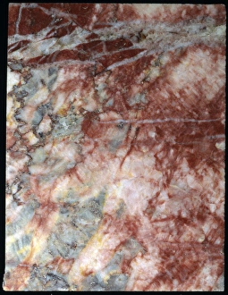 Natural History Museum UK Drucke: Marble C016 / 6086