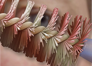 Scanning Electron Microscope Images Drucke: Mascara brush, SEM