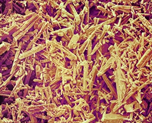 Scanning Electron Micrograph SEM Drucke: Matchbox striker, SEM