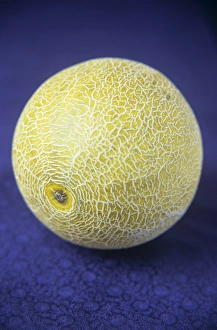 Summer Garden Plants Drucke: Melon