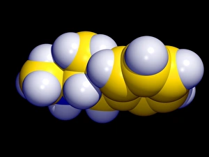 Drucke von Methamphetaminmolekül. Computergrafik des Drogen methamphetamine (Formel C10.H15.N), eine schneller wirksame und länger haltbare Abwandlung von Amphetamine Bilder Datiert 2002 September: Methylamphetaminmolekül