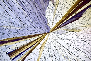 Polarised Light Micrograph Drucke: Methyl sulphonal crystals, micrograph