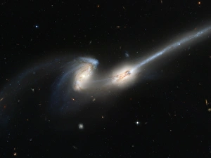 Bilder Datiert 1. Mai 2002: Kollidierende Mäusegalaxien