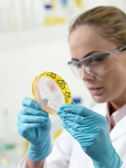 Science Laboratory Equipment Drucke: Microbiological research