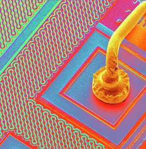 Drucke von Mikrodraht. Farbiger Rasterelektronenmikroskop-Bild (SEM) eines Mikrodrathes (gelb, oft aus Gold), der sich mit der Oberfläche eines Mikrochips verbindet Bilder Datiert 2004 Juni: Mikrochip-Verbindungsdrähte, REM