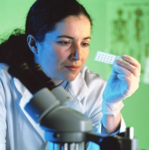 Scientific Research Equipment Drucke: Microscope sample
