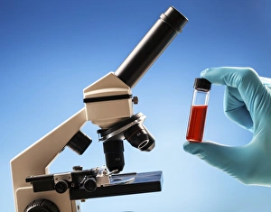 Science Experiment Equipment Drucke: Microscopy sample F008 / 2110
