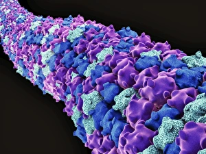 Drucke von Mikrotuben sind Polymere des Proteins Tubuline und bilden ein Teil der Zytoskelett, das die Form eines Zells ist Bilder Datiert 2011 Juli: Mikrotübinen, Kunstwerk
