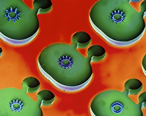 Coloured Scanning Electron Microscopy Drucke: Miniature engine, SEM