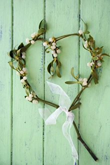 Winter Holiday Decorations Drucke: Mistletoe decoration