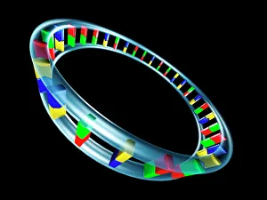 DNA Drucke: Mitochondriales-DNA