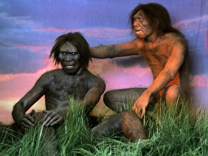 Drucke von Homo erectus Männer. Modelle von Homo erectus Männern sind ein früher Typ des Menschen und einer davon untersucht seinen verletzten Kniescheitel Bilder Datiert 2002 November: Modelle von Mannern des Homo erectus