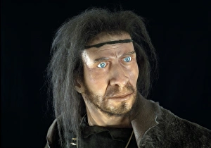 Homo Sapiens Evolution Drucke: Modern human