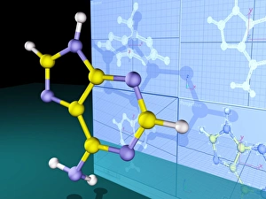 Drucke von Molekulardesign. Computerartwork von Plans für ein molekuläres Modell des Nukleots Adenin mit dem fertiggestellten Modell Bilder Datiert 2005 März: Molekularer Design