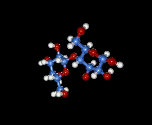Drucke von Laktose. Molekülmodell des Zuckers D-(+)-laktose (Formel: C12H22O11). Die Atome sind kugelförmig und farbcodiert: Kohlenstoff (blau), Sauerstoff (rot) und Wasserstoff (weiß) Bilder Datiert 2003 Oktober: Molekülmodell des Zuckers D-Lactose.