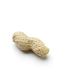 Edible Nuts Drucke: Monkey nut