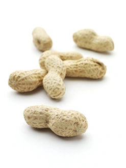 Exotic Fruit Images Drucke: Monkey nuts