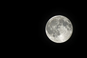 Full Moon Germany Drucke: Full Moon C018 / 1769