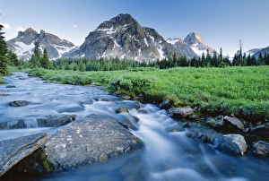 Canadian Mountain Landscapes Drucke: Mount Assiniboine