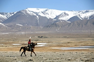 Central Asia Landscapes Drucke: Mounted shepherd in Russian steppe