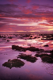 Low Tide Coastal Scenery Drucke: Mud flats at low tide