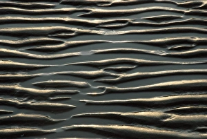 Coastal Erosion Images Drucke: Mud ripples at low tide
