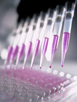 Bilder aus dem Jahr 2003: Multi-pipette
