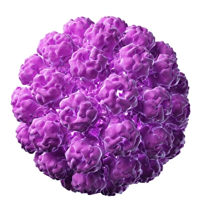 Computer Virus Artwork Drucke: Murine polyomavirus, artwork