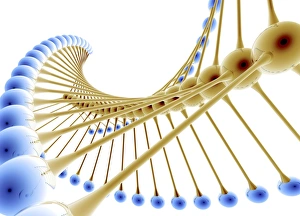 Molecular Biology Images Drucke: Nanotechnology