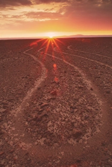 Drucke von Die Nazkalinien darstellen einen Teil des Beins eines Spinnens und können von der Erde aus bei Sonnenaufgang gesehen werden Bilder Datiert 2001 März: Nasskalinien
