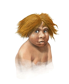 Early Human Tools Drucke: Neanderthal child, artwork