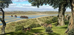 Prehistoric Artwork Drucke: Neanderthal landscape, artwork
