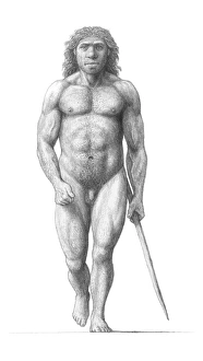 Neanderthal Man Drucke: Neanderthal man
