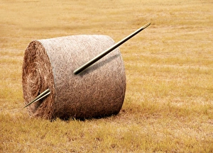 Conceptual Computer Artwork Drucke: Needle in a haystack, conceptual artwork