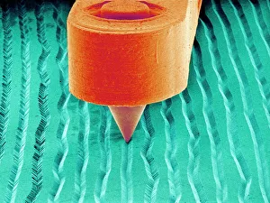 Nadel spielt eine Schallplatte, SEM