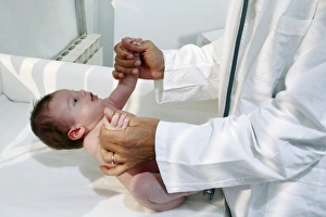 Drucke von MODELL FREIGEBEN. Neonatales Reflextest. Arzt überprüft den Grasphaltungsreflex bei einem Neugeborenenjunge durch das Platzieren eines Fingers oder anderer Objekte in der Pfote des Babys Bilder Datiert 2007 März: Neonatales Reflextest