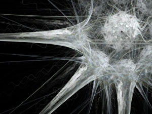 Drucke von Nervenzell. Abstrakte Computerkunstwerk einer Nervenzelle oder eines Neurons Bilder Datiert 2007 Juni: Nervenzell, abstrakter Kunstwerk