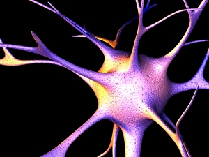 Neuroscience Computer Graphics Drucke: Nerve cell, computer artwork