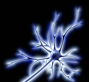 Nerve Cell Structure Drucke: Nerve cell with electrical sparks