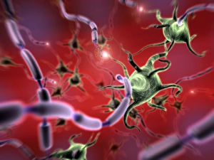 Myelin Sheath Structure Drucke: Neural network