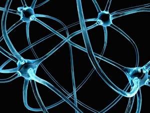 Artificial Intelligence Illustration Drucke: Neural network, conceptual image C013 / 9958