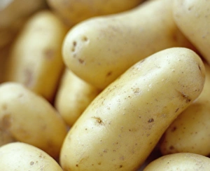 New Potatoes Drucke: New potatoes